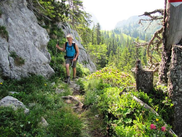 solche Wanderungen gefallen meiner Maus