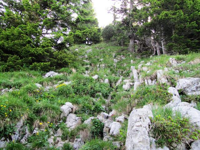 der See ist nun definitiv alpiner als bei den beiden Seen