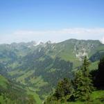 Blick zum Gantrisch mit dem Leiterenpass. Unser heutiges Ziel