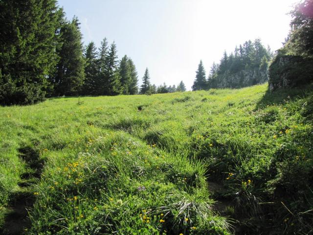 der Weg ist nun richtig schön steil