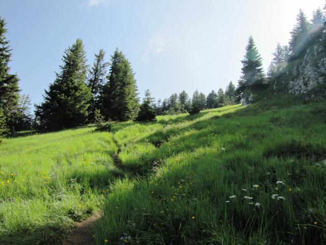 wir befinden uns nun auf dem Strüssligrat bei Punkt 1957 m.ü.M.