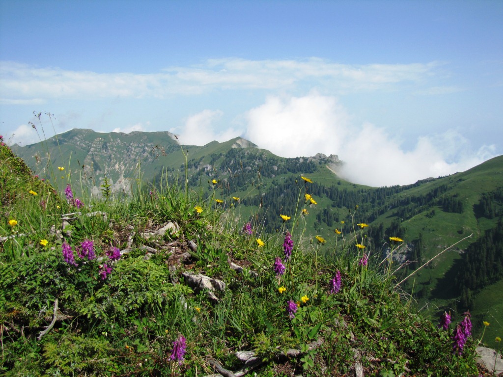 alles an diesem Grat entlang, werden wir zum Leiterenpass wandern