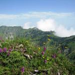 alles an diesem Grat entlang, werden wir zum Leiterenpass wandern