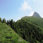 Blick hinauf zum Stockhorn, unser erstes Ziel