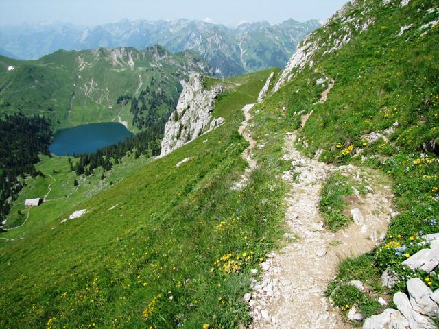 bei so einem Bergweg, schlägt jedem Wanderer das Herz höher