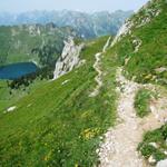 bei so einem Bergweg, schlägt jedem Wanderer das Herz höher