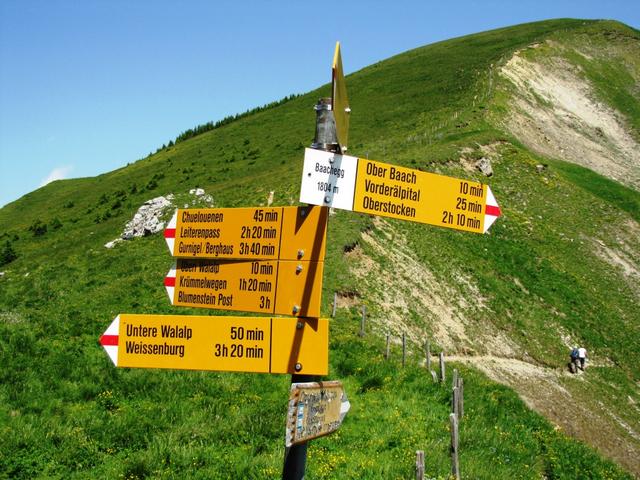 Wegweiser bei der Baachegg 1804 m.ü.M.