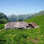 die Alphäuser bei der Oberi Walalp 1714 m.ü.M.