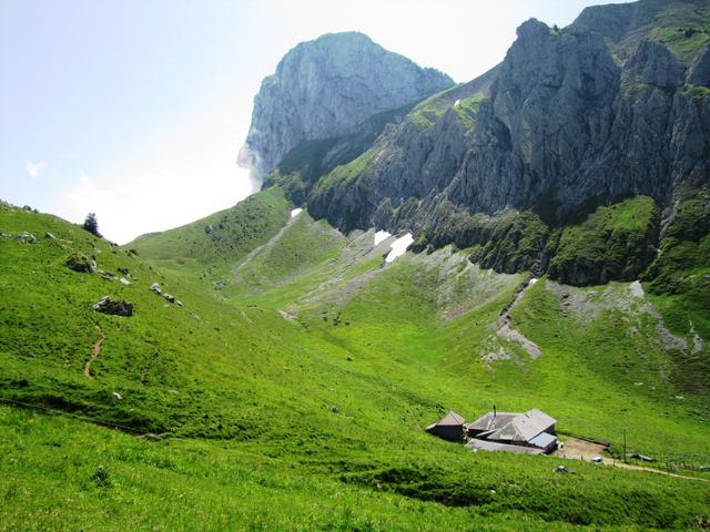 Blick zurück zur  Oberi Walalp und den Stockhorn