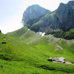 Blick zurück zur  Oberi Walalp und den Stockhorn