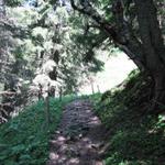 der Bergweg führt zuerst durch einen kleinen Wald