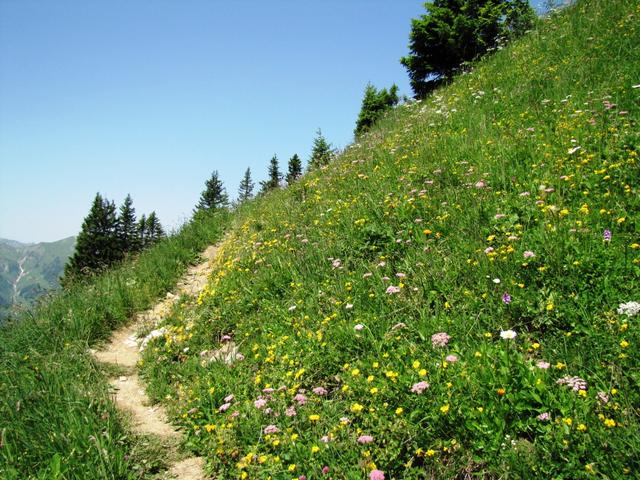 kurz vor dem Walalpgrat