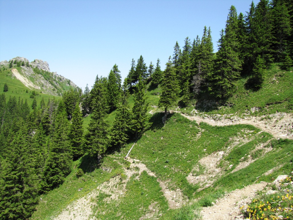 unsere Höhenwanderung geht weiter. Unterhalb vom Walalpgrat