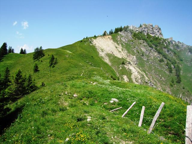 wir befinden uns nun auf dem breiten Walalpgrat