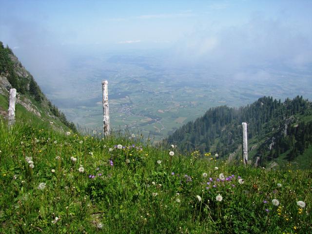 Tiefblick nach Uebeschi und Amsoldingen. Dort waren wir auch schon auf dem Jakobsweg