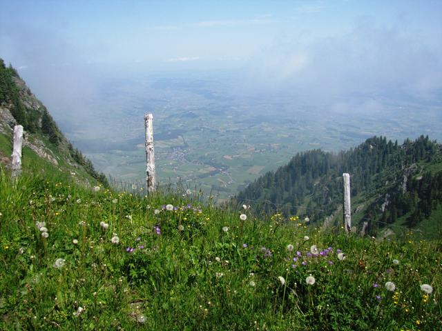 Tiefblick nach Uebeschi und Amsoldingen. Dort waren wir auch schon auf dem Jakobsweg