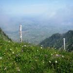 Tiefblick nach Uebeschi und Amsoldingen. Dort waren wir auch schon auf dem Jakobsweg