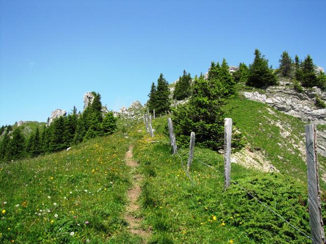 auf dem Weg zur Chatz und Mus