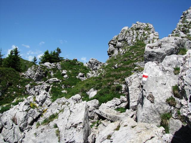 wir haben die urchige Kalkformation des Chatz und Mus erreicht 1901 m.ü.M.