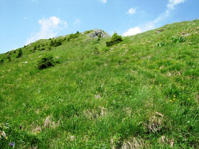 jetzt wird es so richtig steil. Auf dem Weg zum Möntschelespitz