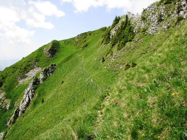 in leichtem Auf und Ab zieht sich der Bergweg durch die abschüssige Südhänge