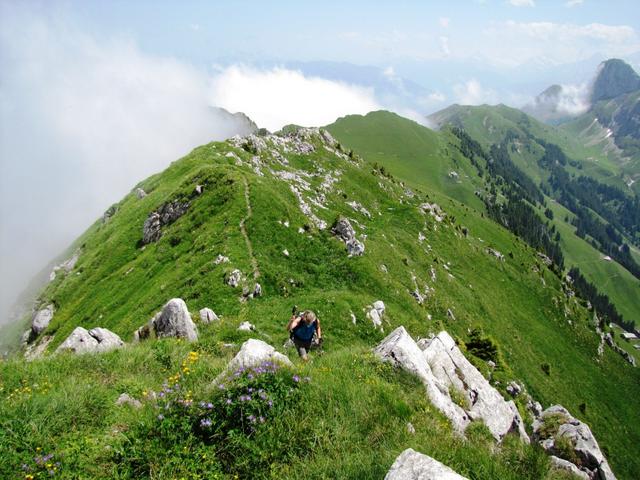 Blick zurück von der Homad aus gesehen