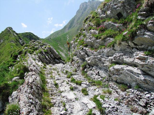 wir haben den Leiterenpass 1905 m.ü.M. erreicht