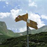 Wegweiser auf Alp Obernünene 1689 m.ü.M.