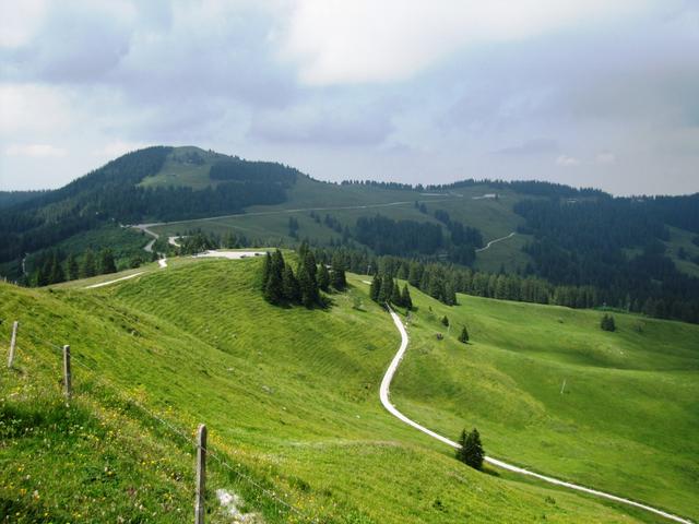 wir haben die Gurnigel - Wasserscheide 1580 m.ü.M.