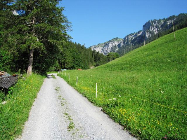 was für ein traumhafter Tag. So macht wandern Spass