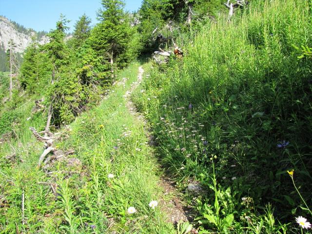 der Bergweg ist immer gut sichtbar