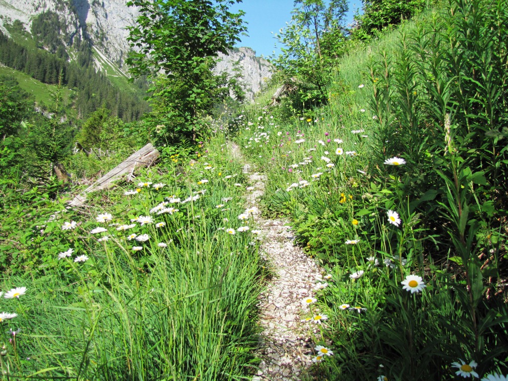 über endlose steile Kehren führt der Bergweg aufwärts