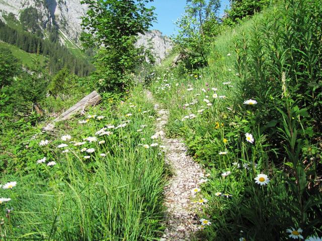 über endlose steile Kehren führt der Bergweg aufwärts