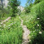 über endlose steile Kehren führt der Bergweg aufwärts