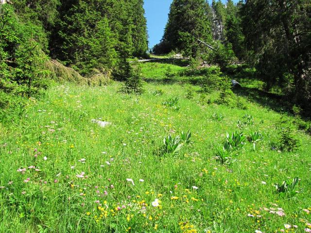 steil führt uns der Bergweg weiter aufwärts