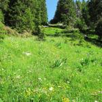 steil führt uns der Bergweg weiter aufwärts