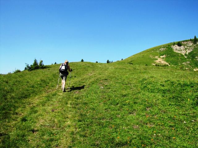 unsere Wanderung führt uns nun weiter nach "Stand"