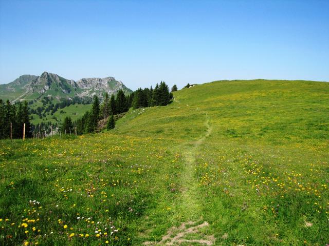 wir haben "Stand" 1938 m.ü.M.erreicht. "Stand" ist kein Gipfel sondern ein Wiesenplateau