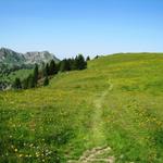 wir haben "Stand" 1938 m.ü.M.erreicht. "Stand" ist kein Gipfel sondern ein Wiesenplateau