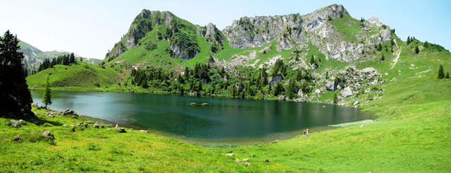 Breitbildfoto vom Seebergsee der nebenbei erwähnt, unter Naturschutz steht