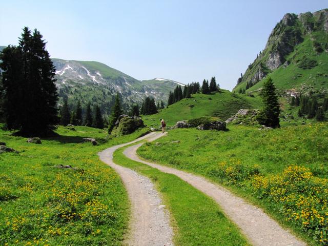 über eine Alpstrasse verlassen wir die schöne Gegend um den Seebergsee