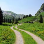 über eine Alpstrasse verlassen wir die schöne Gegend um den Seebergsee