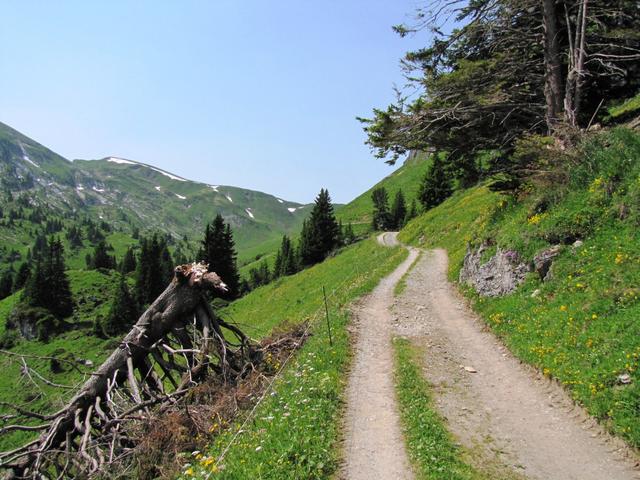 das Diemtigtal ist ein Landstrich der Kontraste: eng und weit zugleich, das sanftwellig, dort schroff