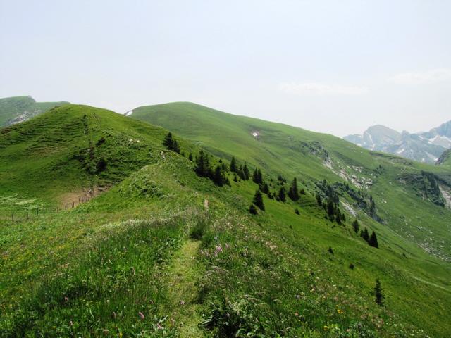 auf dem kleinen Grat entlang mit schöner Aussicht auf die Bergketten rund um Sanne und Simme