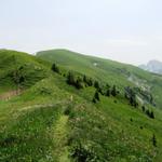 auf dem kleinen Grat entlang mit schöner Aussicht auf die Bergketten rund um Sanne und Simme