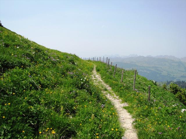 die Aussicht reicht bis zu den Teufelshörnern (Les Diablerets)