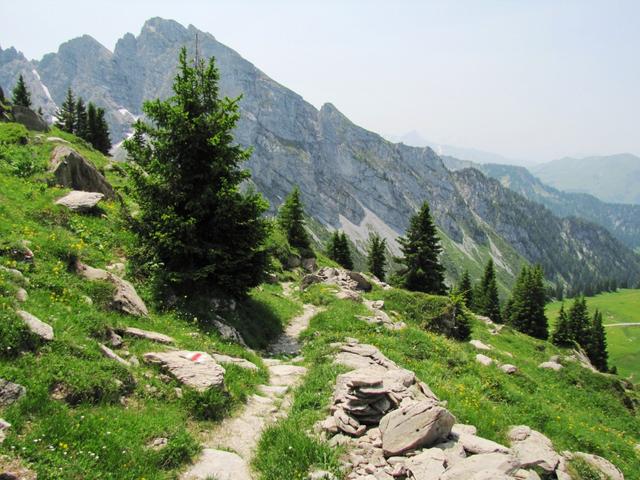 absteigend führt der Wanderweg uns nun ins ausgedehnte Almgelände von Fromatt