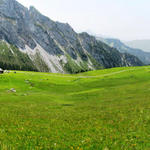 bei Punkt 1950 m.ü.M. haben wir dieses schöne Breitbildfoto der Alp Fromatt aufgenommen