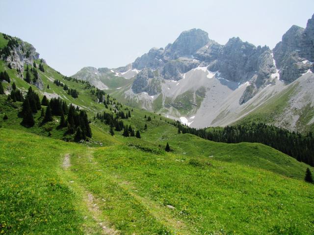 wir haben die Alp Fromatt verlassen und wandern nun in die Hinderi Fromatt