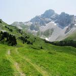 wir haben die Alp Fromatt verlassen und wandern nun in die Hinderi Fromatt